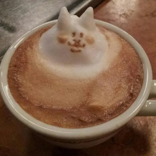 Котенце